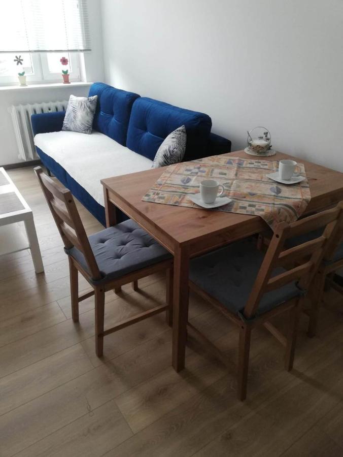 Apartamencik Perelka Skoczów Kültér fotó
