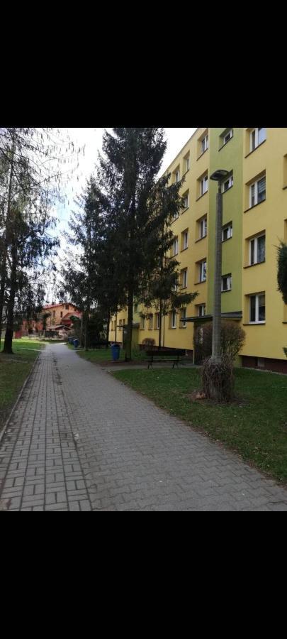 Apartamencik Perelka Skoczów Kültér fotó
